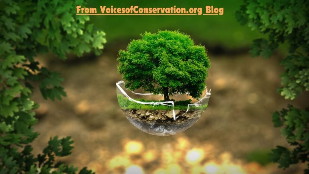 What Can We Learn from The Voicesofconservation.org Blog?